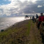 horse farm, horse riding, horses, estonian horses, b&b, bed and breakfast, accomodation, lunch, dinner, picnic, carriage ride, family vacation, vacation, nature trail, nature, Muhu, equestrian, horse farm, equestrian riding, riding, horseback, trail ride