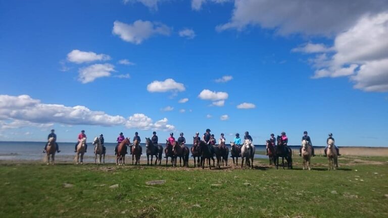 Horseback riding, horses, horses herd, full day trip, Tihuse Horse Farm, Tihuse, horse farm, muhu, visit muhu, equestrian
