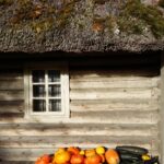 Tihuse Horse Farm, Tihuse, visit Muhu, Muhu, accomodation, lunch, breakfast, dinner, hose riding, horses, cottage house, b&b, bed and breakfast