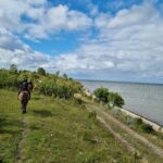 horse farm, horse riding, horses, estonian horses, b&b, bed and breakfast, accomodation, lunch, dinner, picnic, carriage ride, family vacation, vacation, nature trail, nature, Muhu, equestrian, horse farm, equestrian riding, riding, horseback, trail ride