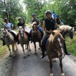 horse farm, horse riding, horses, estonian horses, b&b, bed and breakfast, accomodation, lunch, dinner, picnic, carriage ride, family vacation, vacation, nature trail, nature, Muhu, equestrian, horse farm, equestrian riding, riding, horseback, trail ride