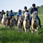 horse farm, horse riding, horses, estonian horses, b&b, bed and breakfast, accomodation, lunch, dinner, picnic, carriage ride, family vacation, vacation, nature trail, nature, Muhu, equestrian, horse farm, equestrian riding, riding, horseback, trail ride