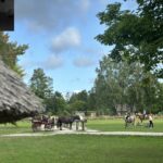 Tihuse Horse Farm, Tihuse, visit Muhu, Muhu, accomodation, lunch, breakfast, dinner, hose riding, horses, cottage house, b&b, bed and breakfast