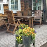 horse farm, horse riding, horses, estonian horses, b&b, bed and breakfast, accomodation, lunch, dinner, picnik, carriage ride, family vacation, vacation, nature trail, nature, Muhu