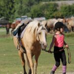horse farm, horse riding, horses, estonian horses, b&b, bed and breakfast, accomodation, lunch, dinner, picnic, carriage ride, family vacation, vacation, nature trail, nature, Muhu, equestrian, horse farm, equestrian riding, riding, horseback, trail ride